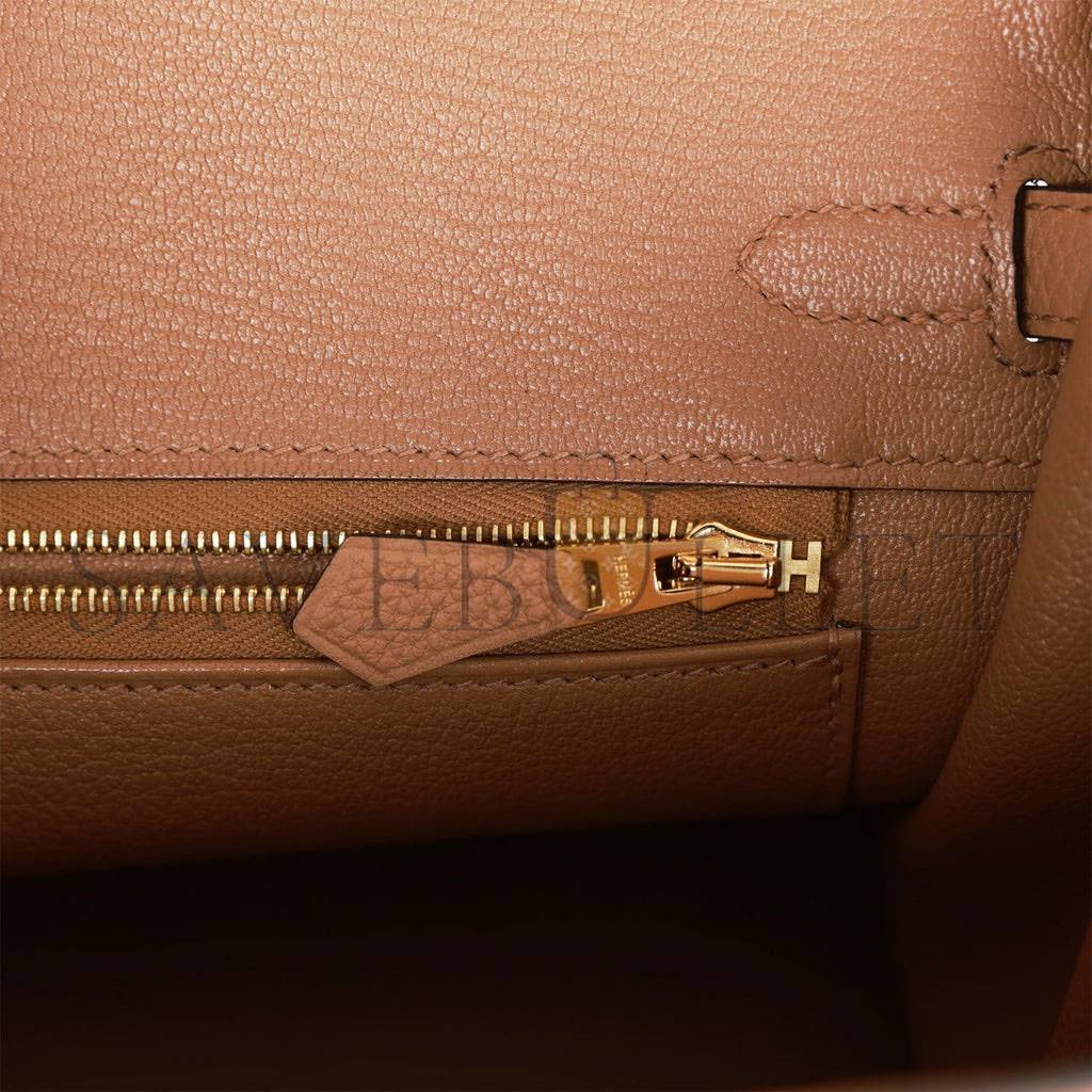 HERMES BIRKIN 25 CHAI TOGO GOLD HARDWARE (25cm)